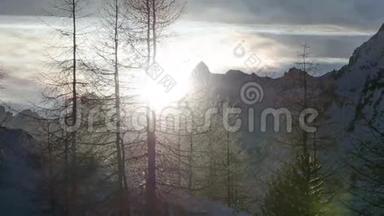 冬季日落森林树木剪影在雪阿尔卑斯山脉时间流逝。 潘左右
